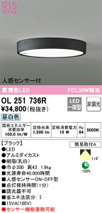 OL251736R I[fbN lZT[tLED^V[OCg  FyOL251736̌p@z