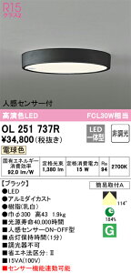 OL251737R I[fbN lZT[tLED^V[OCg  dFyOL251737̌p@z