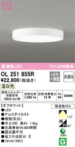 OL251855R �I�[�f���b�N LED���^�V�[�����O���C�g �����F�yOL251855�̌�p�@��z