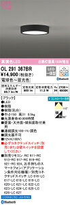 OL291367BR I[fbN LED^V[OCg  F BluetoothΉyOL291367BČp@z