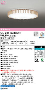 OL291503BCR I[fbN LEDV[OCg  F BluetoothΉ `12
