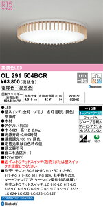 OL291504BCR I[fbN LEDV[OCg  F BluetoothΉ `10