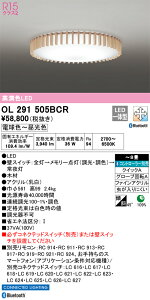 OL291505BCR I[fbN LEDV[OCg  F BluetoothΉ `8