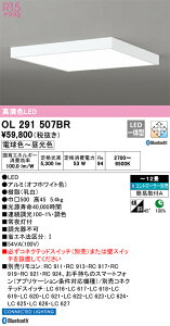 OL291507BR I[fbN LEDV[OCg  F BluetoothΉ `12