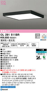OL291511BR I[fbN LEDV[OCg  F BluetoothΉ `12
