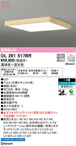 OL291517BR I[fbN LEDV[OCg  F BluetoothΉ `8