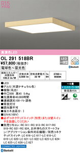 OL291518BR I[fbN LEDV[OCg  F BluetoothΉ `6