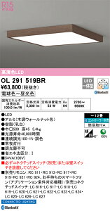 OL291519BR I[fbN LEDV[OCg  F BluetoothΉ `12