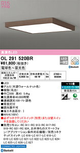 OL291520BR I[fbN LEDV[OCg  F BluetoothΉ `10
