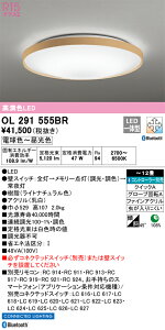 OL291555BR I[fbN LEDV[OCg  F BluetoothΉ `12