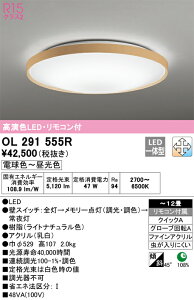 OL291555R �I�[�f���b�N LED�V�[�����O���C�g ���� ���F �`12��