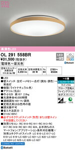OL291558BR I[fbN LEDV[OCg  F BluetoothΉ `6