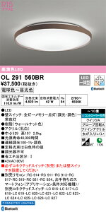 OL291560BR �I�[�f���b�N LED�V�[�����O���C�g ���� ���F Bluetooth�Ή� �`10��
