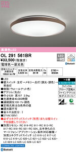 OL291561BR I[fbN LEDV[OCg  F BluetoothΉ `8