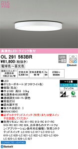 OL291563BR I[fbN LEDV[OCg  F BluetoothΉ `12