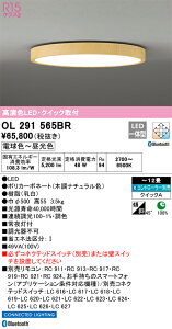 OL291565BR I[fbN LEDV[OCg  F BluetoothΉ `12