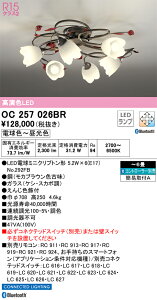 OC257026BR I[fbN LEDVfA  F BluetoothΉ `6yOC257026BČp@z