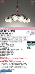OC257028BR I[fbN LEDVfA  F BluetoothΉ `6yOC257028BČp@z