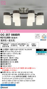 OC257068BR I[fbN LEDVfA  F BluetoothΉ `12yOC257068BČp@z