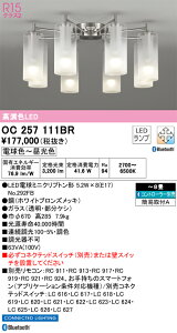 OC257111BR �I�[�f���b�N LED�V�����f���A ���� ���F Bluetooth�Ή� �`8��yOC257111BC�̌�p�@��z