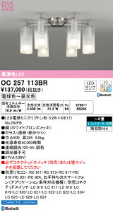 OC257113BR I[fbN LEDVfA  F BluetoothΉ `6yOC257113BČp@z