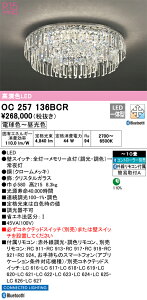 OC257136BCR I[fbN LEDVfA  F BluetoothΉ `10yOC257136BČp@z