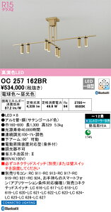 OC257162BR I[fbN LEDVfA  F BluetoothΉ `12