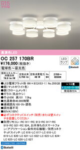 OC257170BR I[fbN LEDVfA  F BluetoothΉ `10