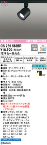 OS256563BR �I�[�f���b�N LED�X�|�b�g���C�g �v���O�^�C�v Bluetooth�Ή� �����E���F