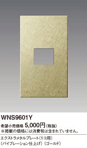 WNS9601Y �p�i�\�j�b�N SO-STYLE�G�N�X�g�����^��P1�R�p