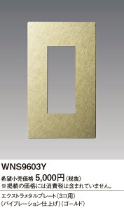 WNS9603Y �p�i�\�j�b�N SO-STYLE�G�N�X�g�����^��P3�R�p