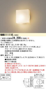 NNN11111K pi\jbN LEDivʔj