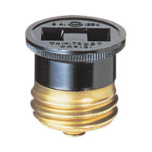 WH4101 pi\jbN Zp{fB (10)