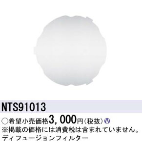 NTS91013 pi\jbN fBt[WtB^[yK@풍Ӂz