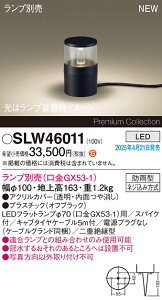 SLW46011 pi\jbN LEDK[fCg XpCNtyLGW46011̌p@zyvʔz