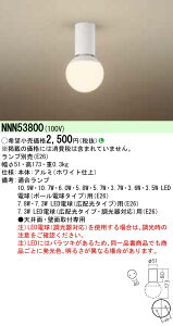 NNN53800 �p�i�\�j�b�N LED�d���V�[�����O���C�g(�����v�ʔ�)