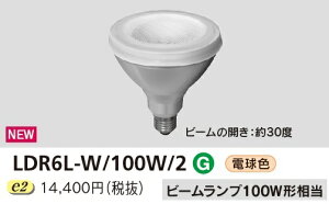LDR6L-W/100W/2 ���� LED�d�� �r�[�������v�` �d���F
