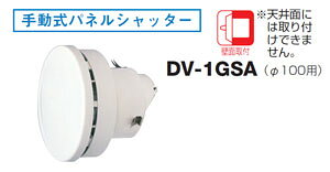 DV-1GSA  RC 蓮plVb^[
