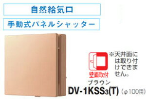 DV-1KSS3(T)  RC 蓮plVb^[