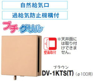 DV-1KTS(T)  RC ߋCh~@\t