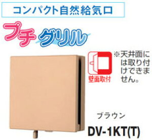 DV-1KT(T)  RpNgRC 100p