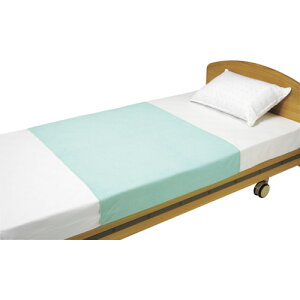 102141 �|�� �����h���V�[�c �ΐF 2������