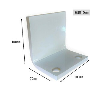 9LM1010C eB[GtT[rX ^ݔL^Ȃ^Cv100×70×100mm(N[)1