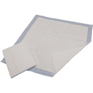 AAS609 ACebNX zA_[V[c 600×900mm 50