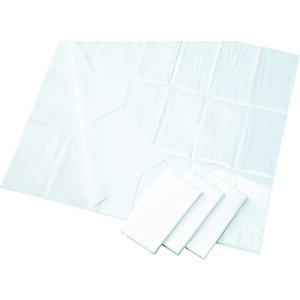 ADS10241 �A�C�e�b�N�X �f�B�X�|�V�[�c 1000mmx2400mm 10���� 5�ܓ�