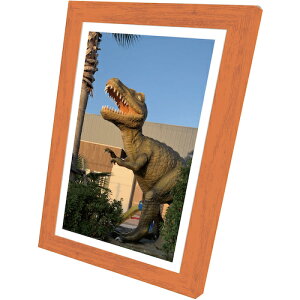 BRATT200A uC A[gpgC()10+A[g|X^[12Zbg A^Cv 4