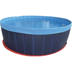 DBP50 TOMBO �_�b�V���v�[��1000