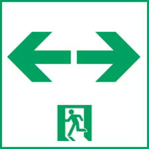 FK10388 pi\jbN LEDU\[ʘHUEʗp](CE10`)y\̂݁z