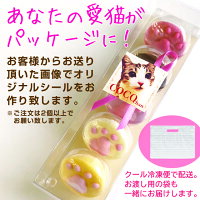 クール冷凍便お渡し用の袋もお届け
