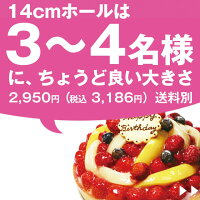 3〜4名様にちょうどいい大きさ